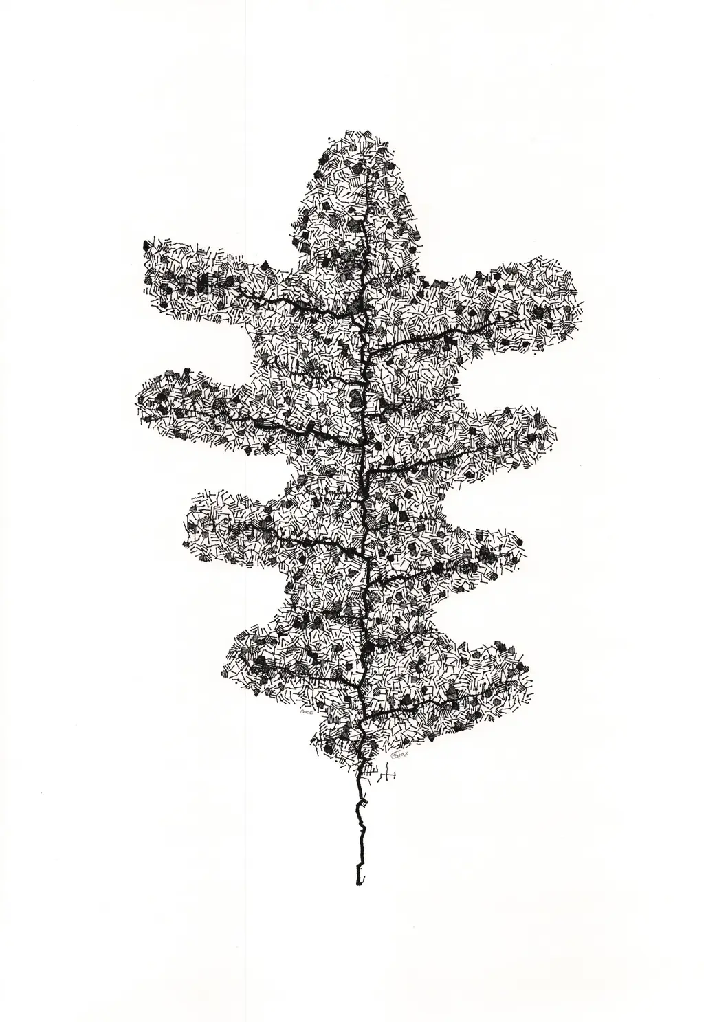 Leaf study plot — variant 2
