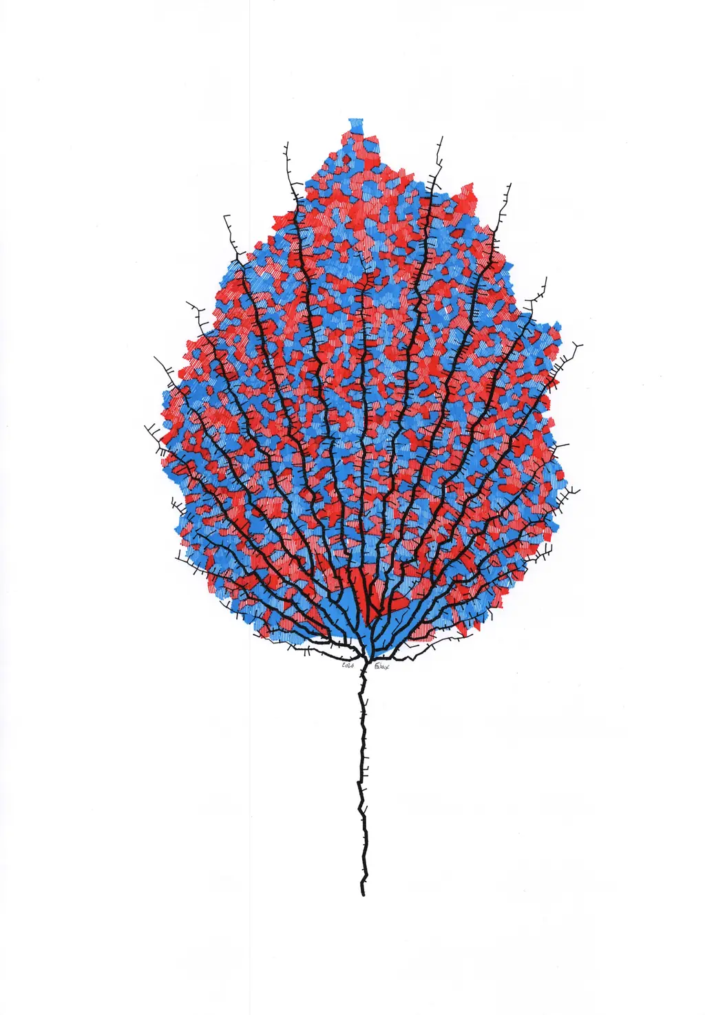 Leaf study plot