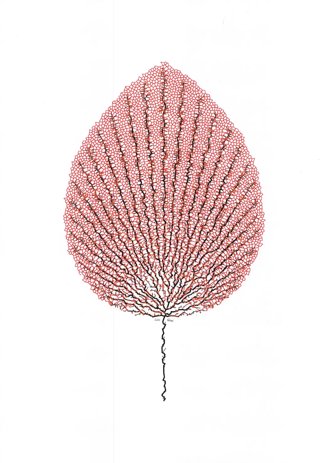 Leaf study plot — variant 4