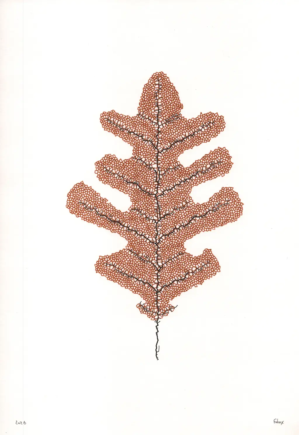 Leaf study plot — variant 6