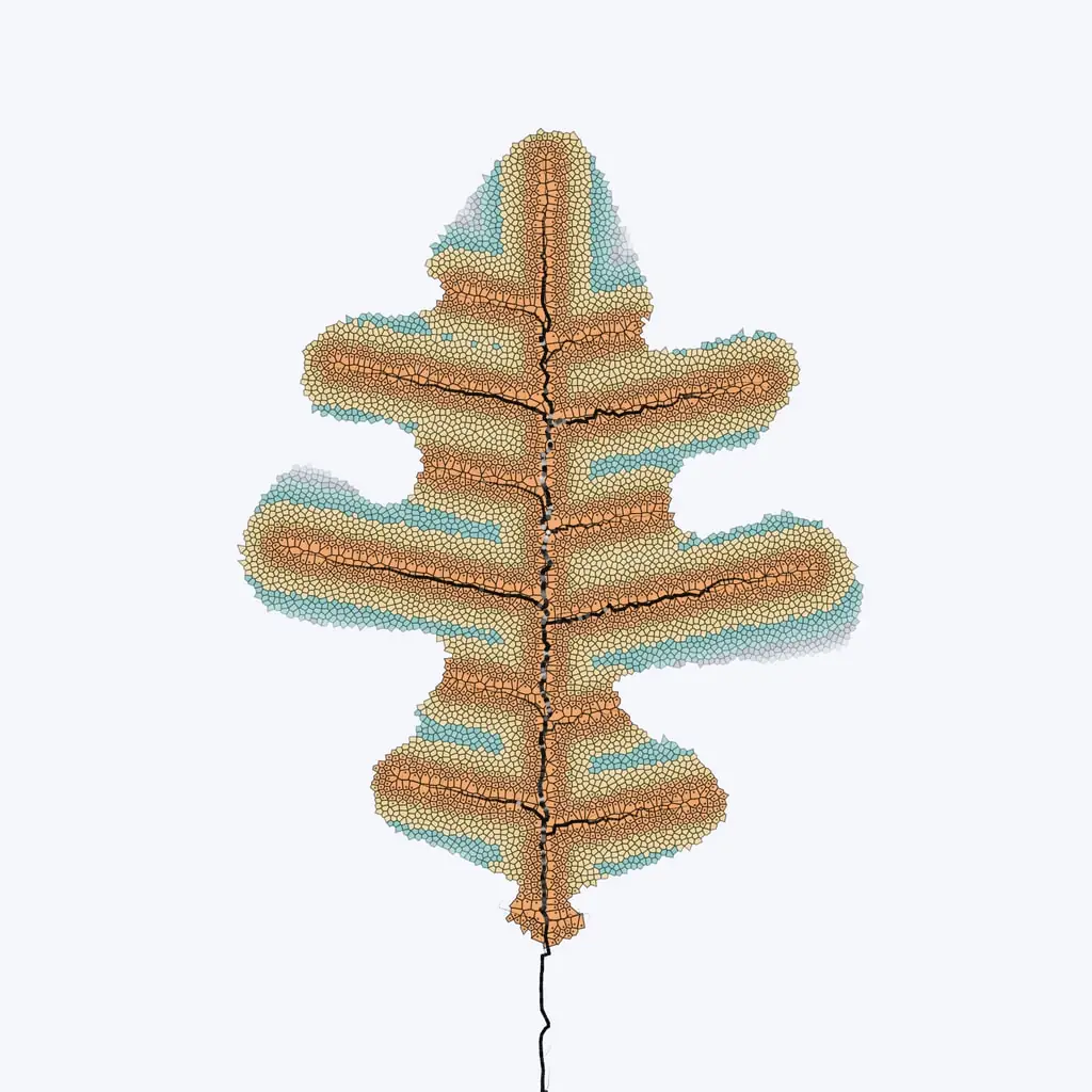 Leaf study — variant 4