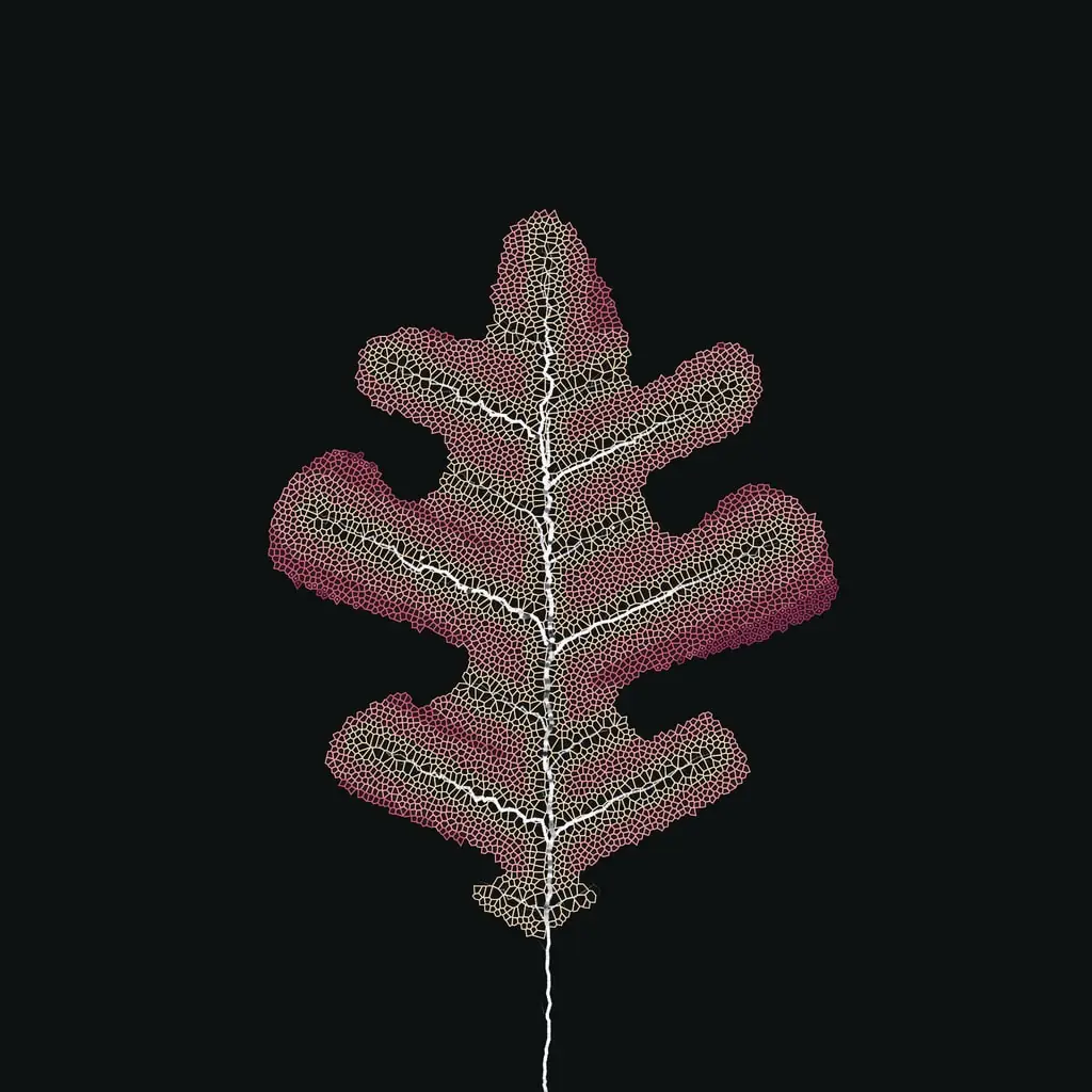 Leaf study — variant 8