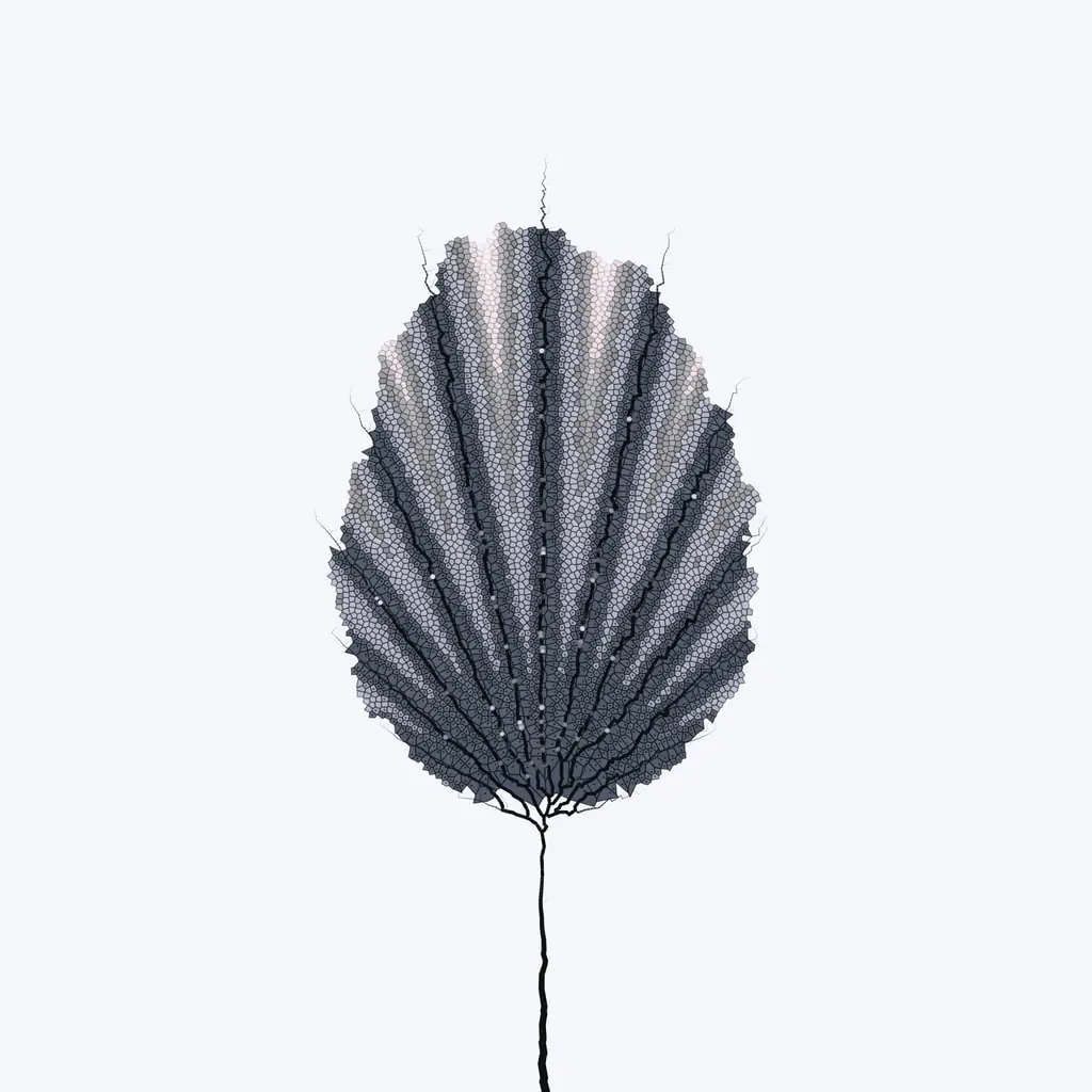 Leaf study — variant 10
