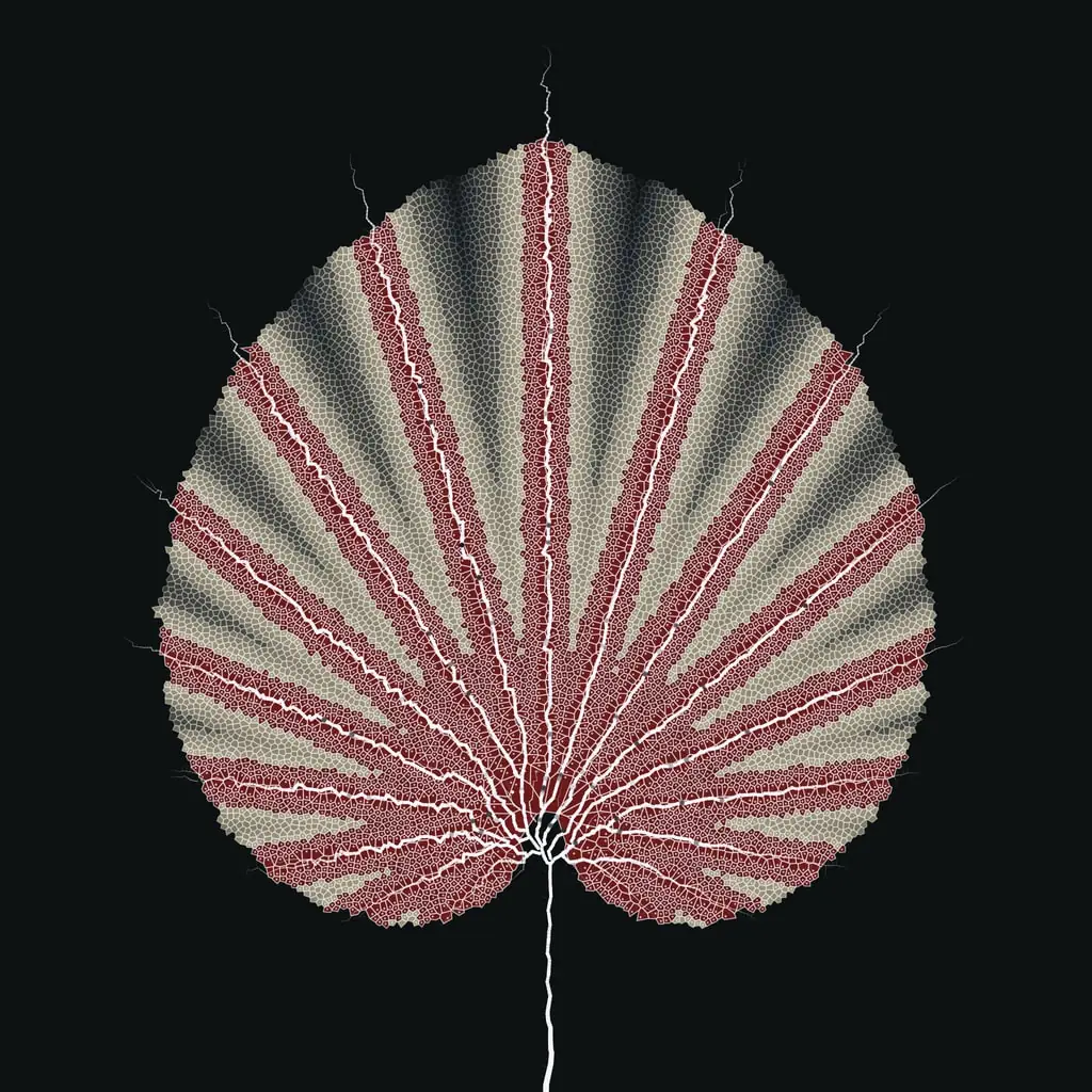 Leaf study — variant 11