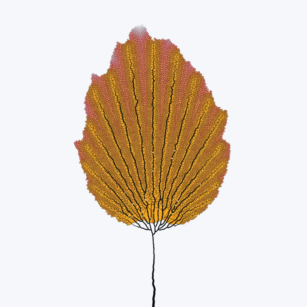 Leaf study — variant 12