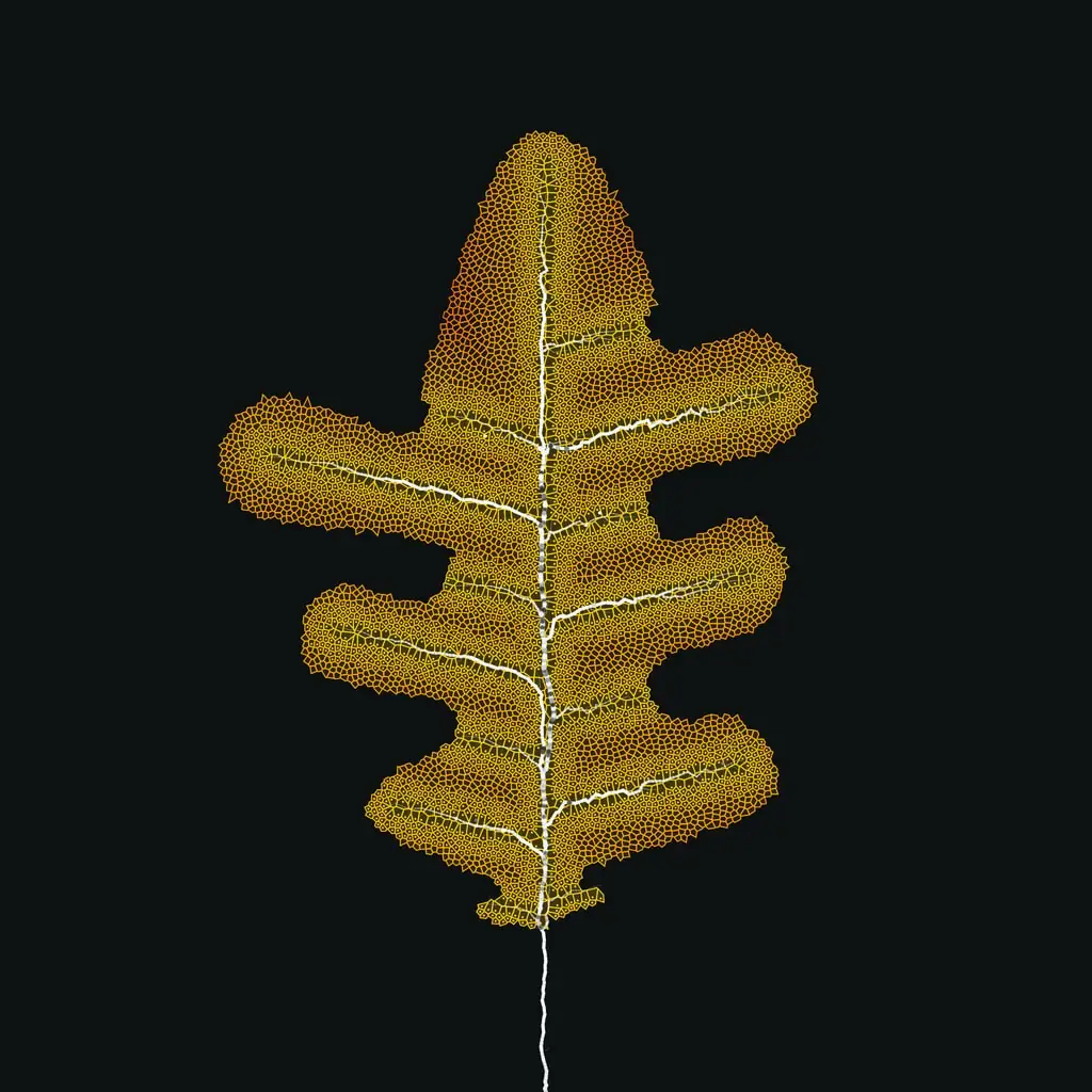 Leaf study — variant 16