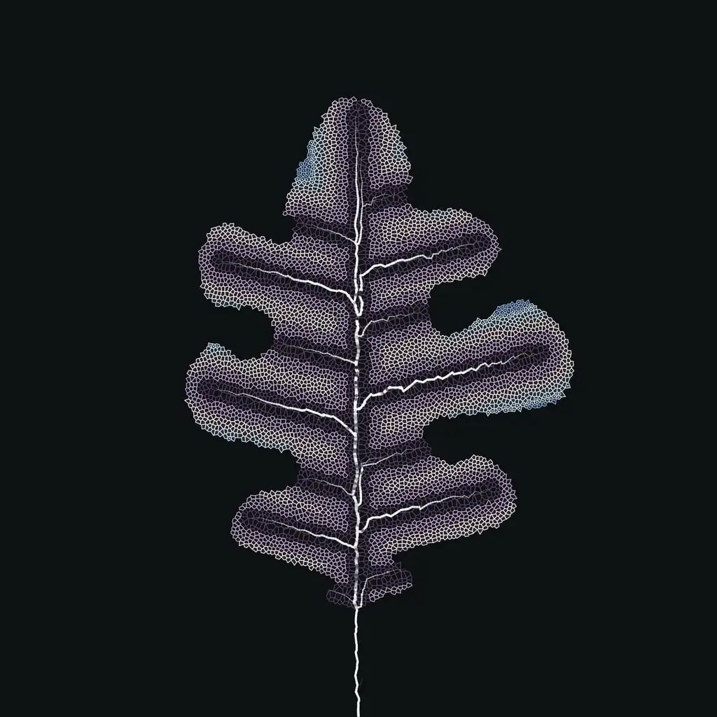 Leaf study — variant 19