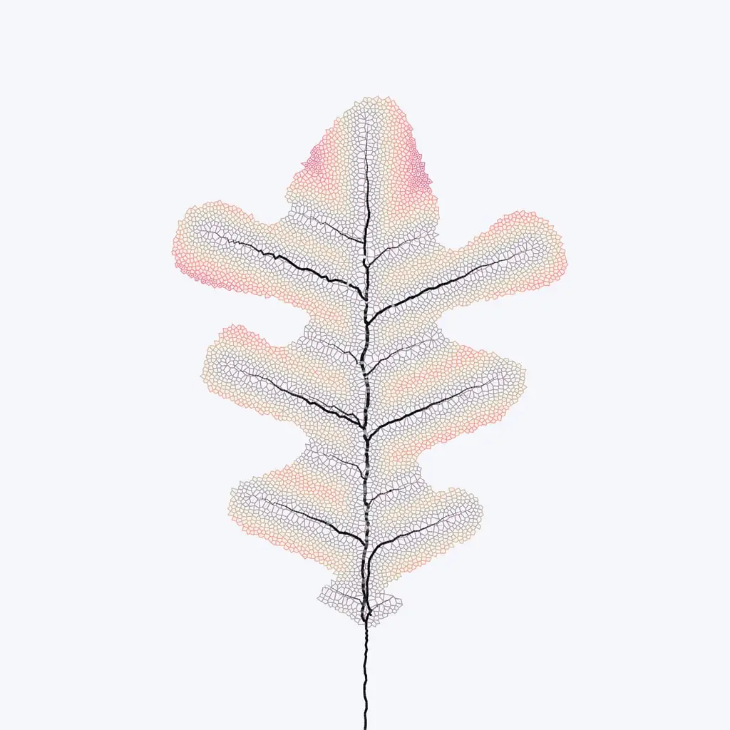 Leaf study — variant 21